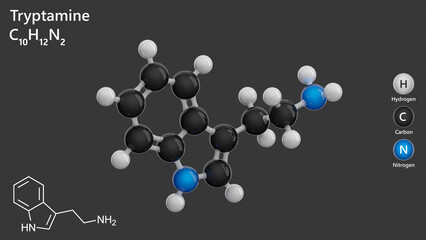 Molecule: Tryptamine. Alkaloid. Mood regulation. Molecular structure. Formula: C10H12N2. Chemical model: Ball and stick. Gray background. 3D illustration.