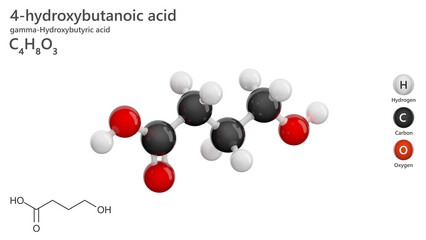 Molecule: 4-Hydroxybutanoic Acid. Molecular structure. Formula: C4H8O3. Chemical model: Ball and stick. White background. 3D illustration