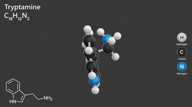 Tryptamine. Alkaloid. Mood regulation. Animated 3D model of a molecule. Molecular formula: C10H12N2. Chemical model: Ball and stick. Gray background. 3D rendering. Seamless loop.