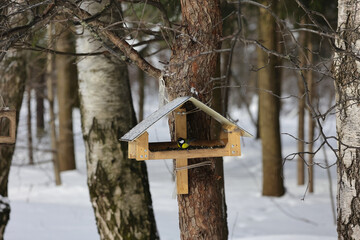 A Small Bird Enjoys Seeds At A Wooden Bird Feeder In A Snow-Covered Forest. The Serene Winter Scene Captures The Essence Of Nature And Tranquility.