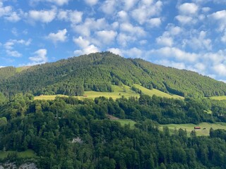 Obraz premium Alpine mountains above Lake Lungern or mixed forest above the natural reservoir Lungernsee - Canton of Obwald, Switzerland (Alpenberge und Mischwald oberhalb des Naturstausee Lungererses - Schweiz)