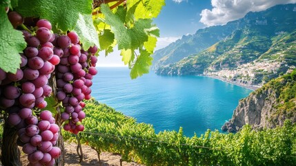 Amalfi Coast Vineyard: Grapes, Sea, and Mountains