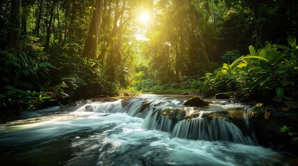 Obraz premium High-end photography of a serene river flowing through a dense forest with sunlight filtering through the trees