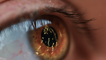 Christmas tree reflected in the pupil of the eye