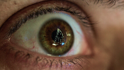 Christmas tree reflected into the eyeball 