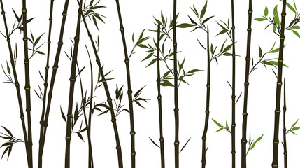 Naklejka premium Bamboo forest stems. Jungle bamboo stems silhouettes, bamboo branches with leaves, decorative bamboo flat png illustration set on a transparent background