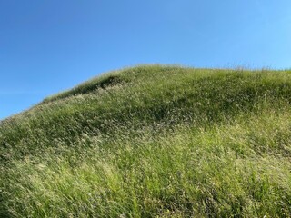 Alpine meadows along Lake Lungern or pastures by Lake Lungernsee - Canton of Obwald, Switzerland (Almwiesen entlang des Naturstausee Lungererses - Kanton Obwald, Schweiz)