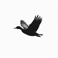 Obraz premium Silhouette of a bird in flight, wings spread wide against a white background.
