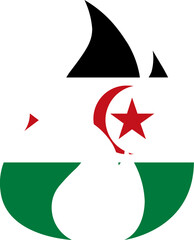 Sahrawi Arab Democratic Republic Flag In Fire