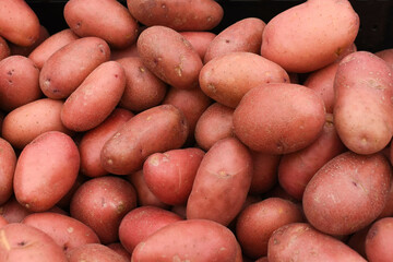 Australian Pink Potatoes background