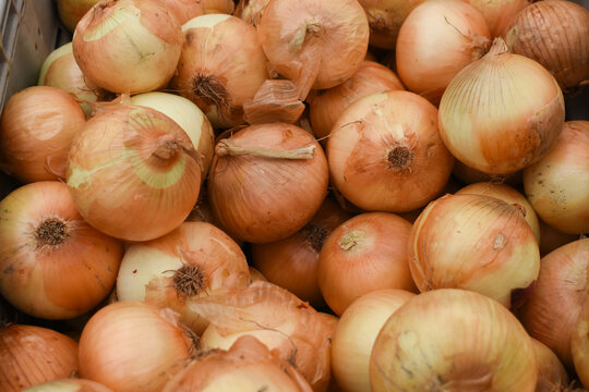 Yellow onions in a market background