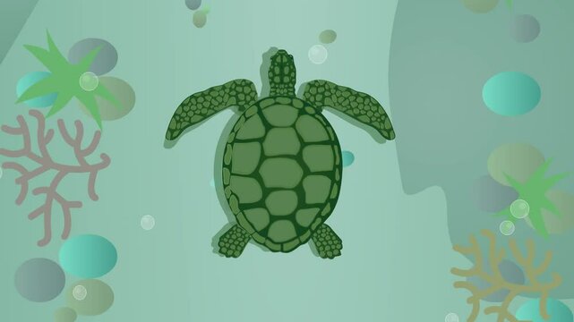 Animated video of a sea turtle swimming on the seabed, top view, art, animal.