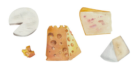 watercolor set of classic different types of cheese