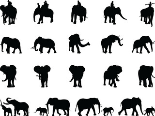 Black silhouettes of elephants 