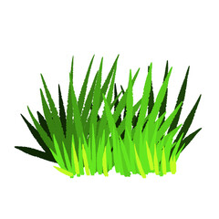 Illustration of grass