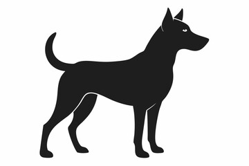 black dog isolated on white