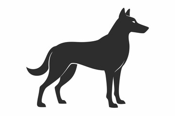 Obraz premium black dog isolated on white