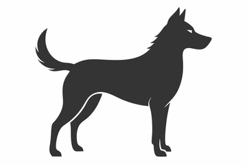 black dog isolated on white