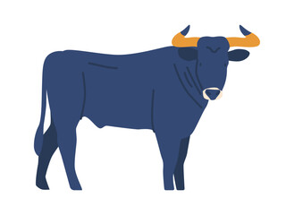 Aberdeen Angus bull breed vector illustration