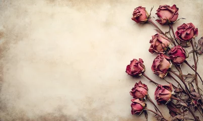 Dried roses arrangement on textured background, vintage aesthetic, soft colors, romantic feel, natural beauty, floral decor