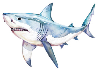 Obraz premium PNG Watercolor shark illustration marine art