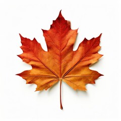 Fototapeta premium the AI Image Generator, Autumn Maple Leaf on Black Background