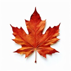 Fototapeta premium the AI Image Generator, Autumn Maple Leaf on Black Background