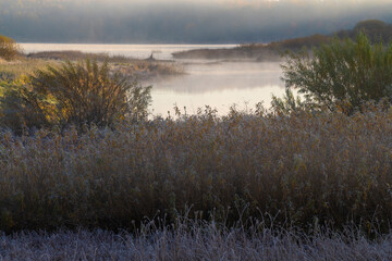 A foggy October morning in the floodplain of the Sorot River. Pushkin Mountains. Pskov region,...