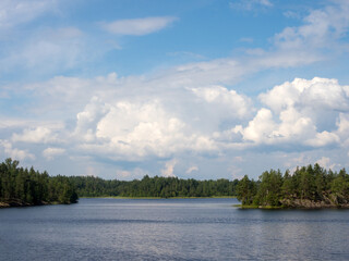 forest lake in summer