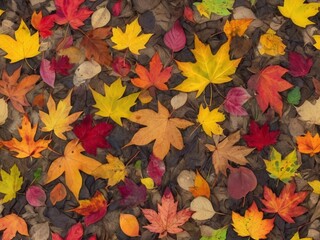 colorful autumm leaves scattered on a forest floor