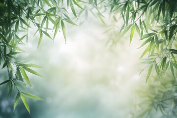 A close-up of vibrant green bamboo leaves with delicate raindrops clinging to them, set against a soft misty background. Serenity and freshness after rain.