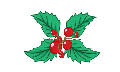 cluster of bright red berries mistletoe with green leaves classic christmas symbol