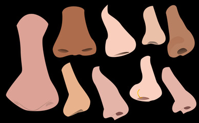 Illustration of types and shapes of human noses, suitable for your creative designs