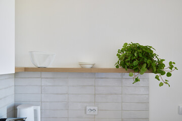 Stylish Modern Kitchen Shelf Featuring a Green Plant Alongside Beautiful Bowls and Decor