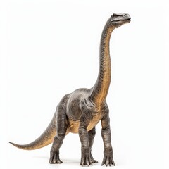 Brachiosaurus dinosaur, triassic period, mesozoic era, cretaceous period, jurassic period, isolated on white background