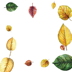 Adobe Illustrator Artwork