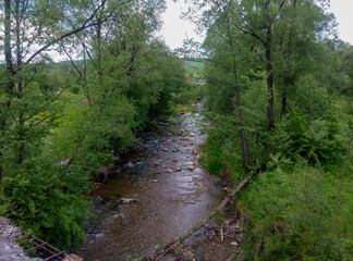 Peaceful Forest Stream with Lush Greenery: A serene forest stream surrounded by vibrant green trees and foliage, with a clear view of the rocky riverbed and tranquil natural scenery.