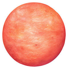 Fototapeta premium PNG Mercury red white background freshness.