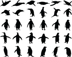 Black silhouettes of penguins 