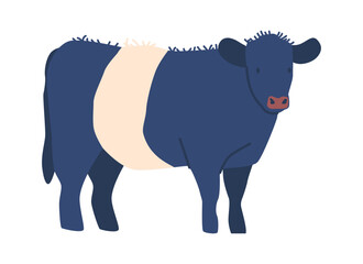 Blue breed of cow vector illustration