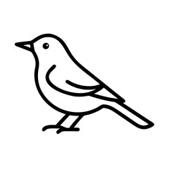 Fototapeta premium Nightingale Bird Generative AI Vector & Line Art Design for Digital Creators