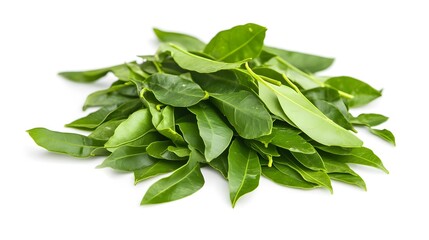 Obraz premium Chopped Curry Leaf isolated in white background