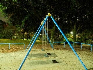 Fototapeta premium 冬の夜の公園の夜景の景色