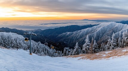 Fototapeta premium Cable car travels through a snow-covered landscape with pine trees and ski lifts, creating a winter wonderland atmosphere