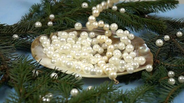 Pearl necklace fall on a large mother-of-pearl shell with pearl beads  lies on spruce branches on blue background, slow motion