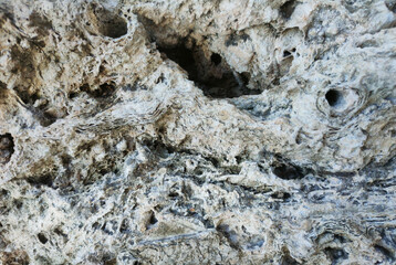 Textured Limestone Close-Up A detailed close-up of weathered limestone, showcasing its rugged texture, natural erosion patterns.