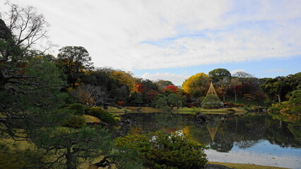 Fototapeta premium 秋の六義園