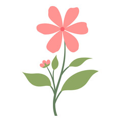 Flower illustration 