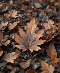 A tiny, smoldering oak leaf hidden within a heap of parched brown leaves and hot ashes , dry leaves, fading glow, embers