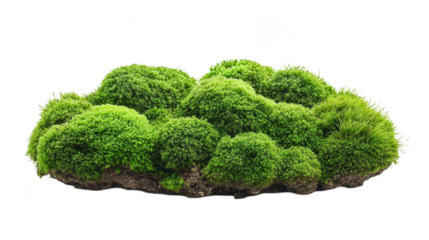 Verdant Moss Island, lush green clusters with rich texture evoke natural serenity against a white backdrop Isolated on white background or PNG